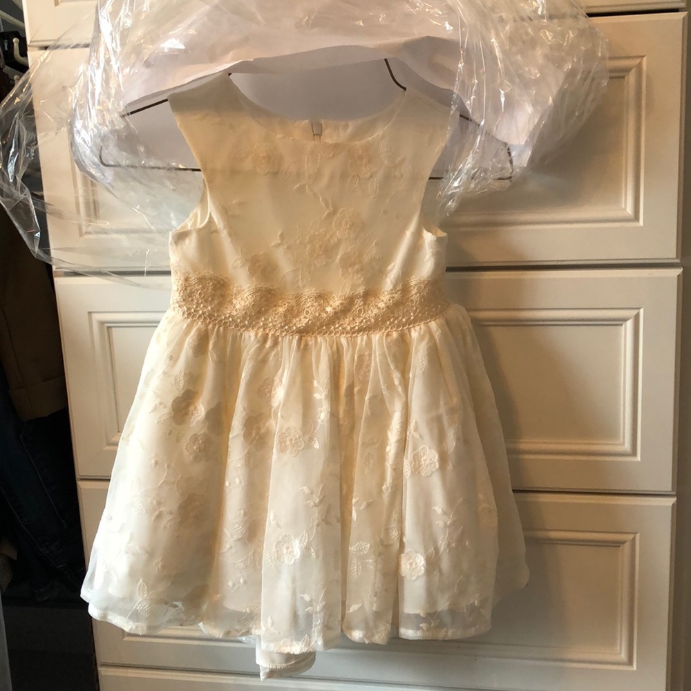 Toddler flower girl or occasion dress worn once